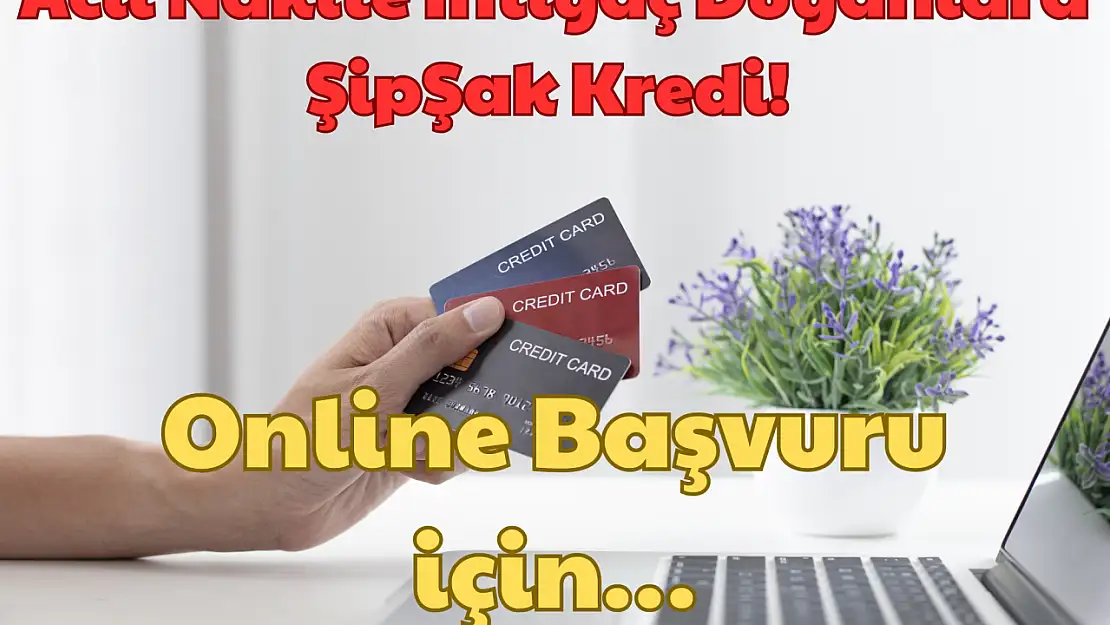 Acil Nakite İhtiyaç Duyanlara ŞipŞak Kredi: Online Başvuru için!