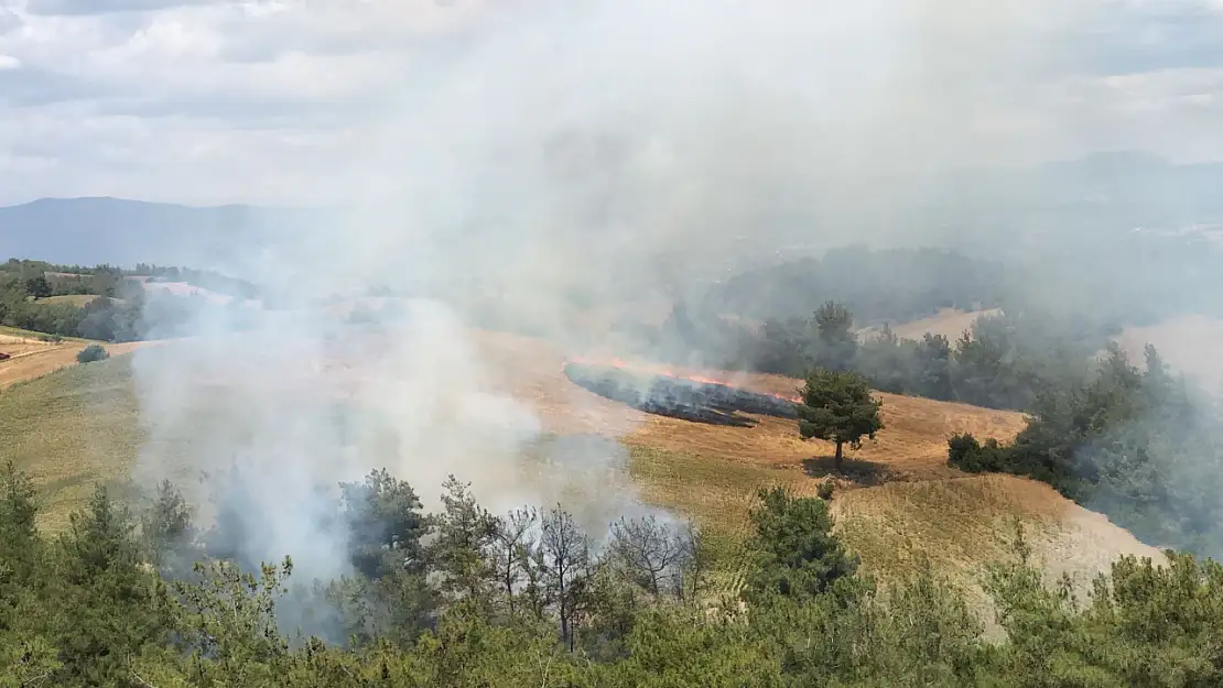 Adana' da orman yangını