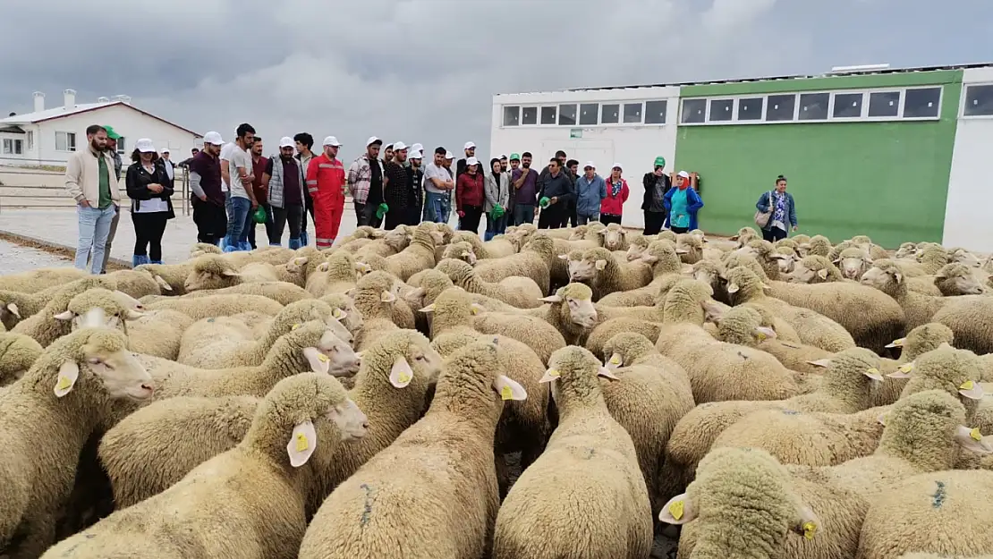 Akademisyenler ve öğrenciler Konya'daki üretim merkezine ziyaret