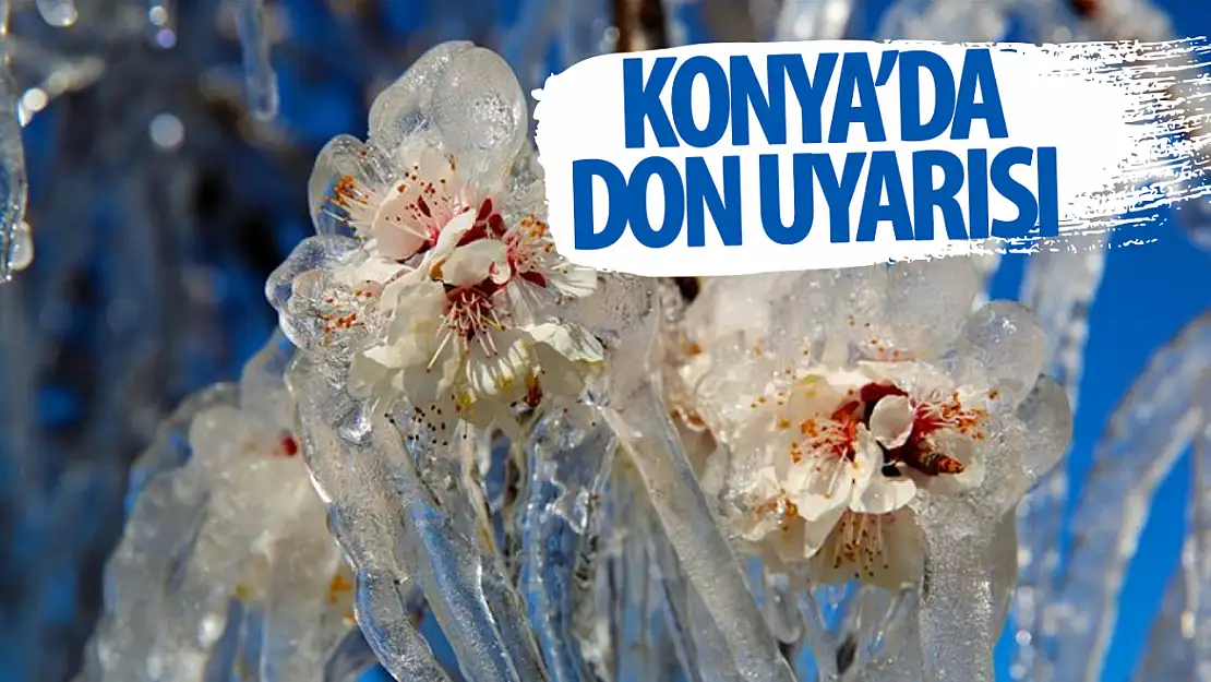 AKOM uyardı: Don ve buzlanmaya dikkat!