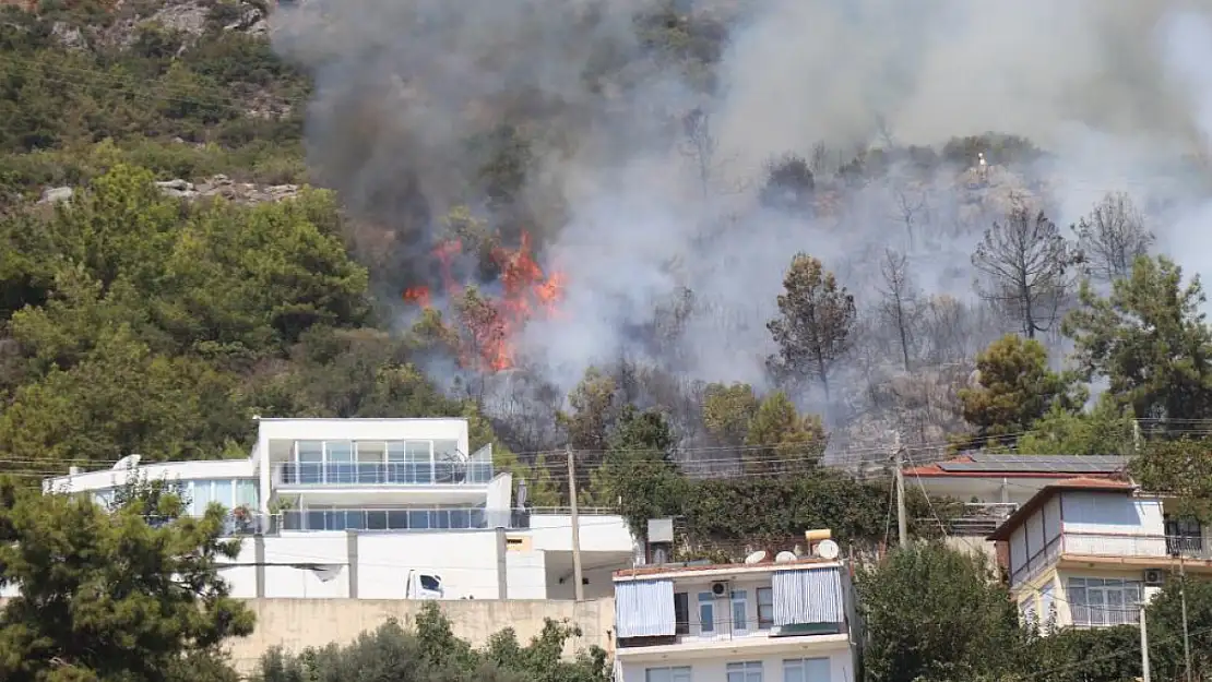 Alanya'da orman yangını!