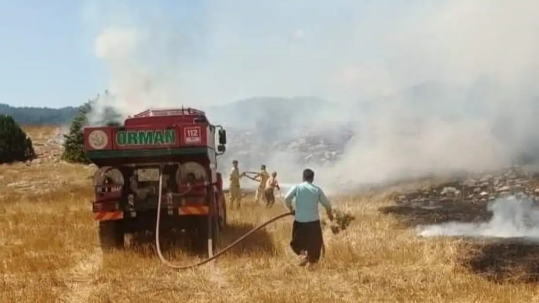 Anız yangını ormana sıçradı, ekipler müdahale