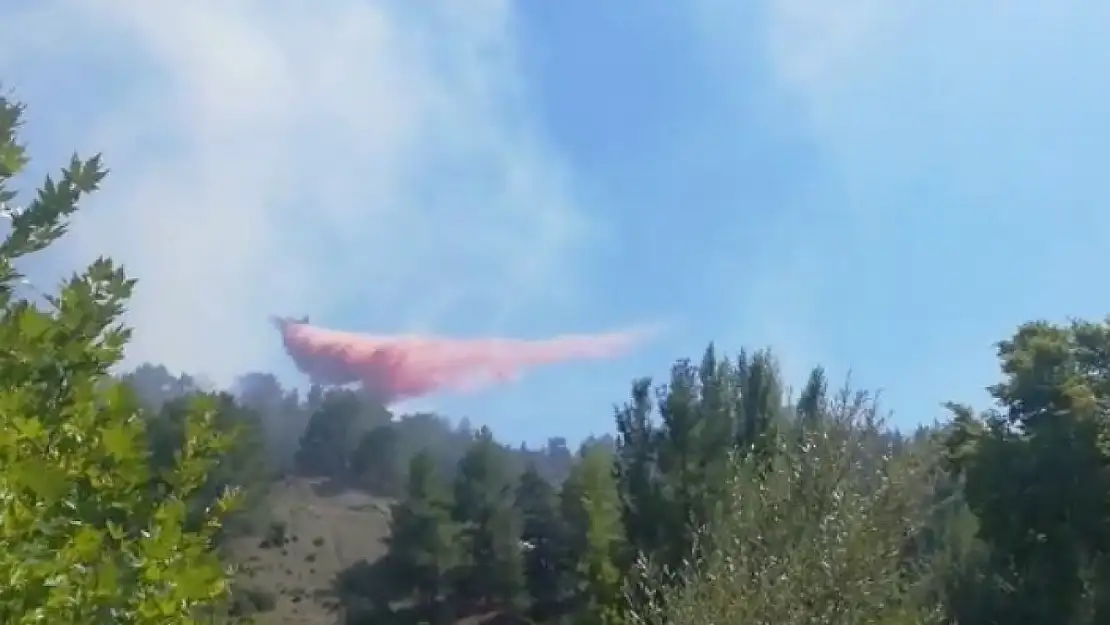 Antalya'da çıkan orman yangını kontrol altına alındı