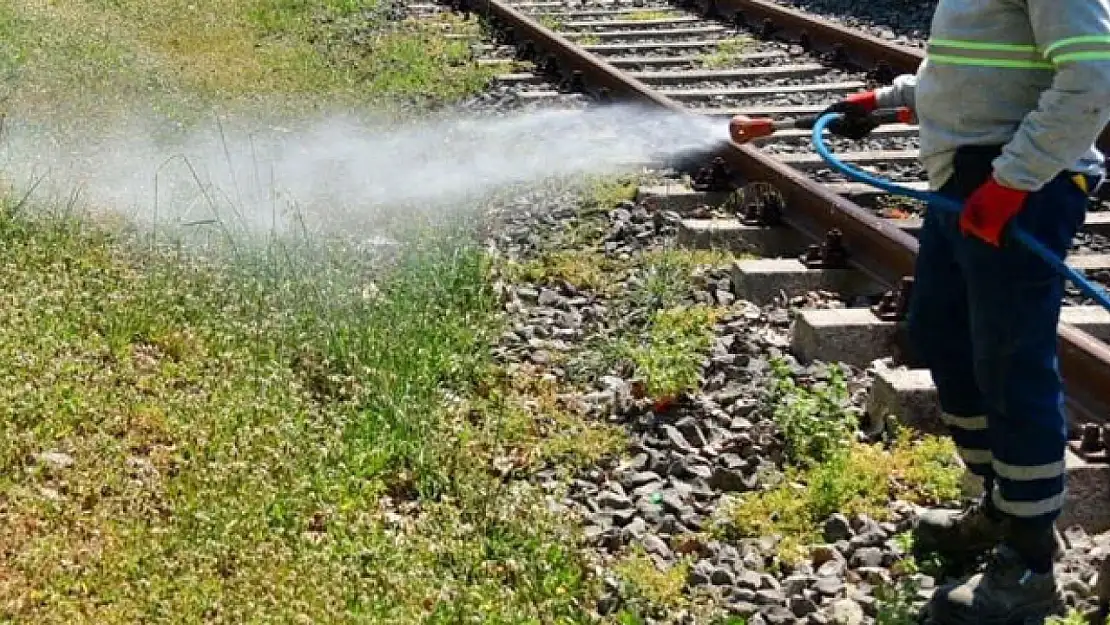 Aralarında Konya'da var, ilaçlama yapılacak