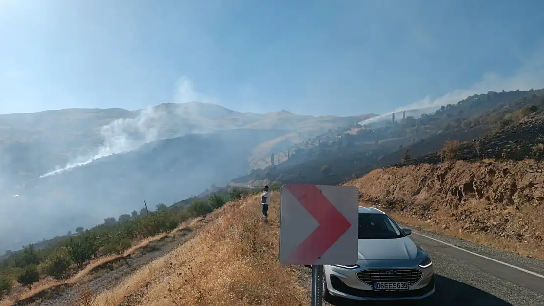 Arazi yangını ormanlık alana sıçradı