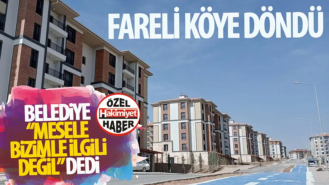 Ardıçlı TOKİ Konutlarında Fare Baskını Sürüyor: Mahalle Sakinleri Çözüm Bekliyor