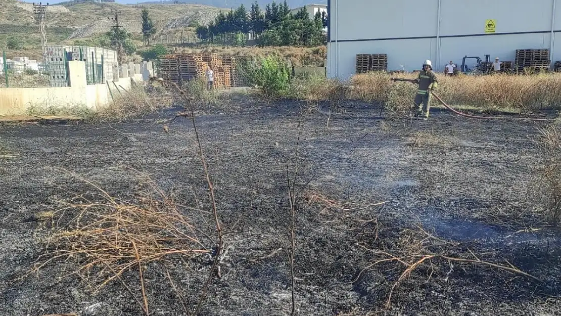 Arsuz'da çıkan yangın söndürüldü