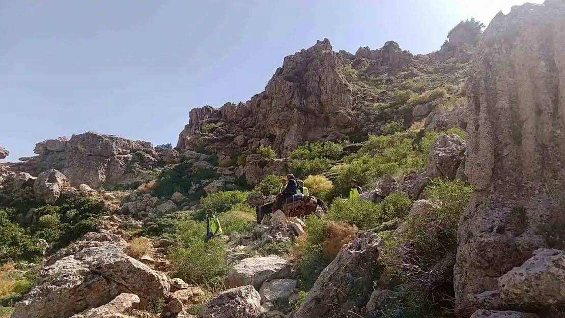 At sırtında ambulansa ulaştırıldı