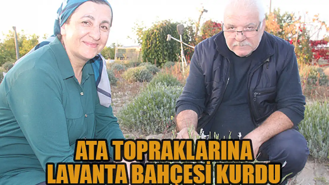 Ata topraklarına lavanta bahçesi kurdu