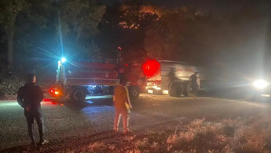 Ayvacık'ta orman yangını: 1 köy boşaltıldı