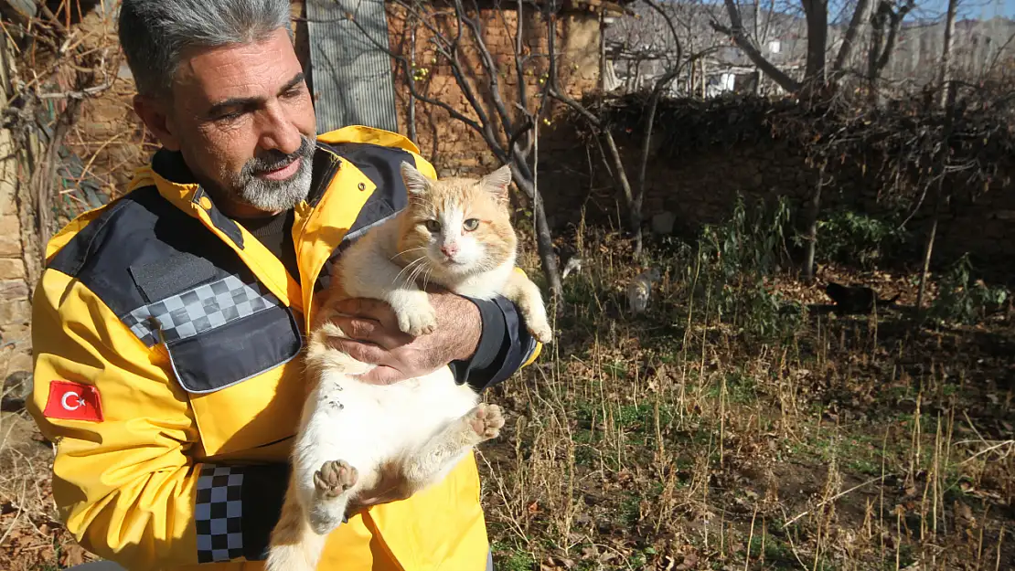 Babasından miras kalan kedileri böyle koruyor