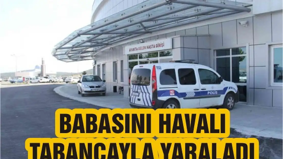 Babasını havalı tabancayla yaraladı