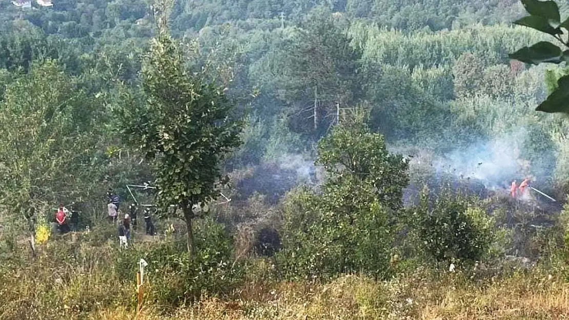 Bahçesindeki çalıları ateşe verdi, hayatını kaybetti