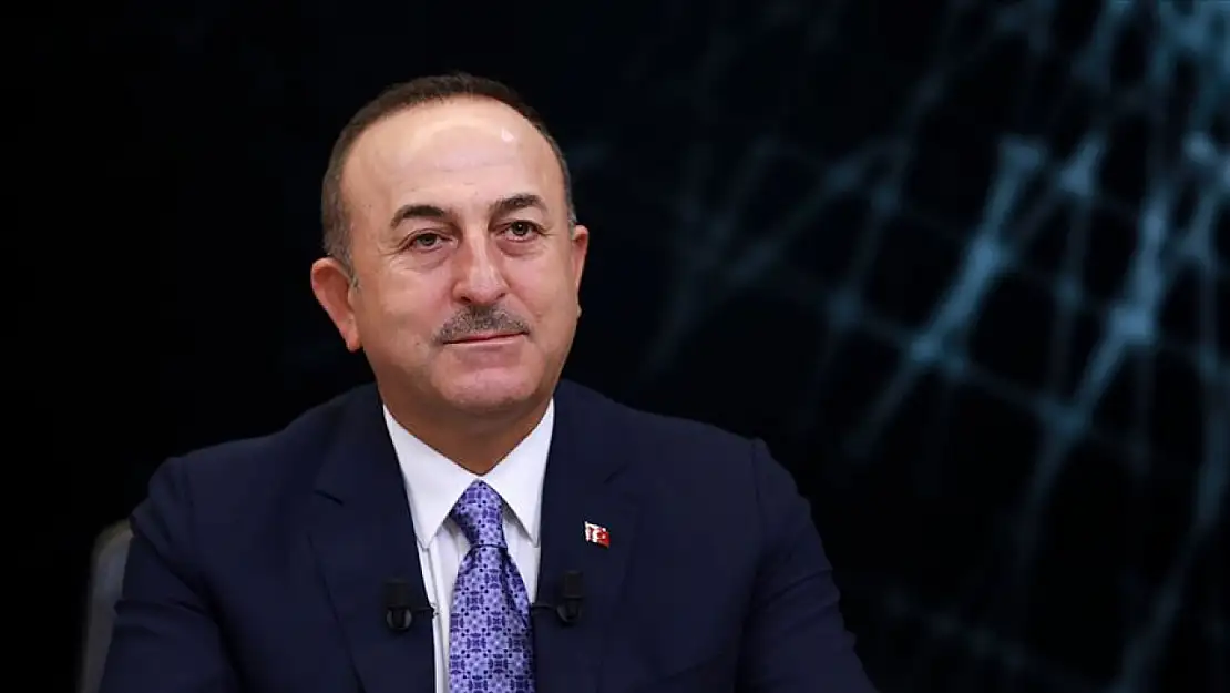 Bakan Çavuşoğlu: '1915 olayları siyasetçilerin kendi gündemlerine göre tanımlanamaz'