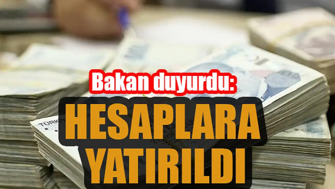 Bakan duyurdu: Hesaplara yatırıldı