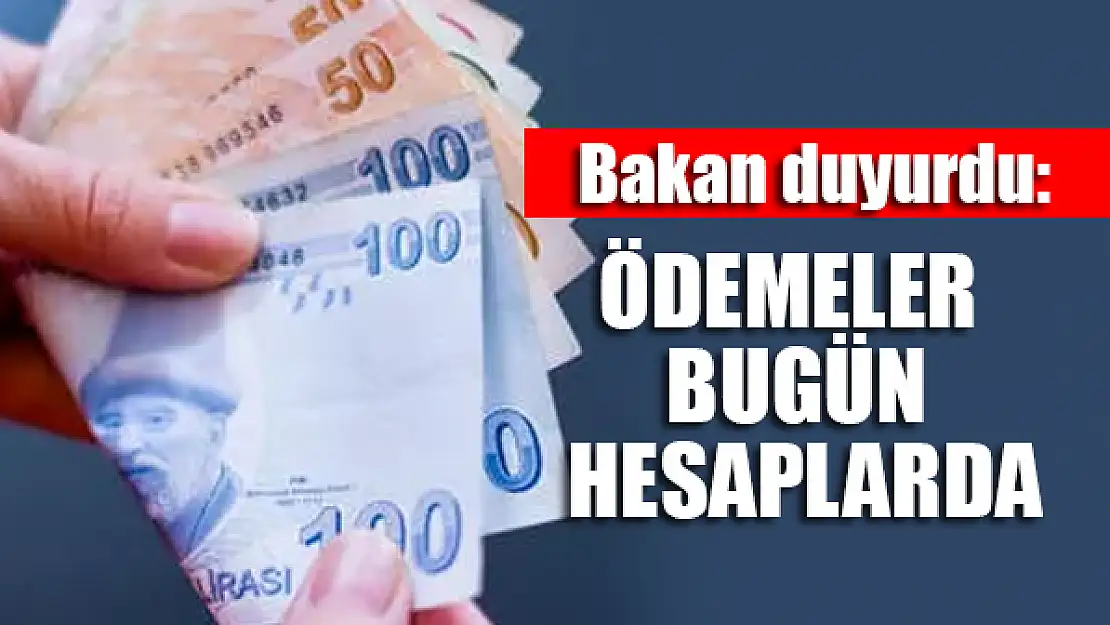 Bakan duyurdu: Ödemeler bugün yatıyor