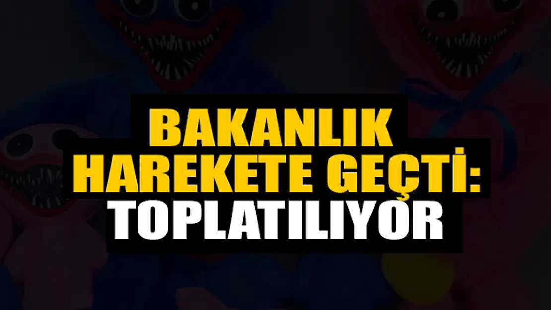 Bakanlık harekete geçti: Oyuncaklar toplatılıyor