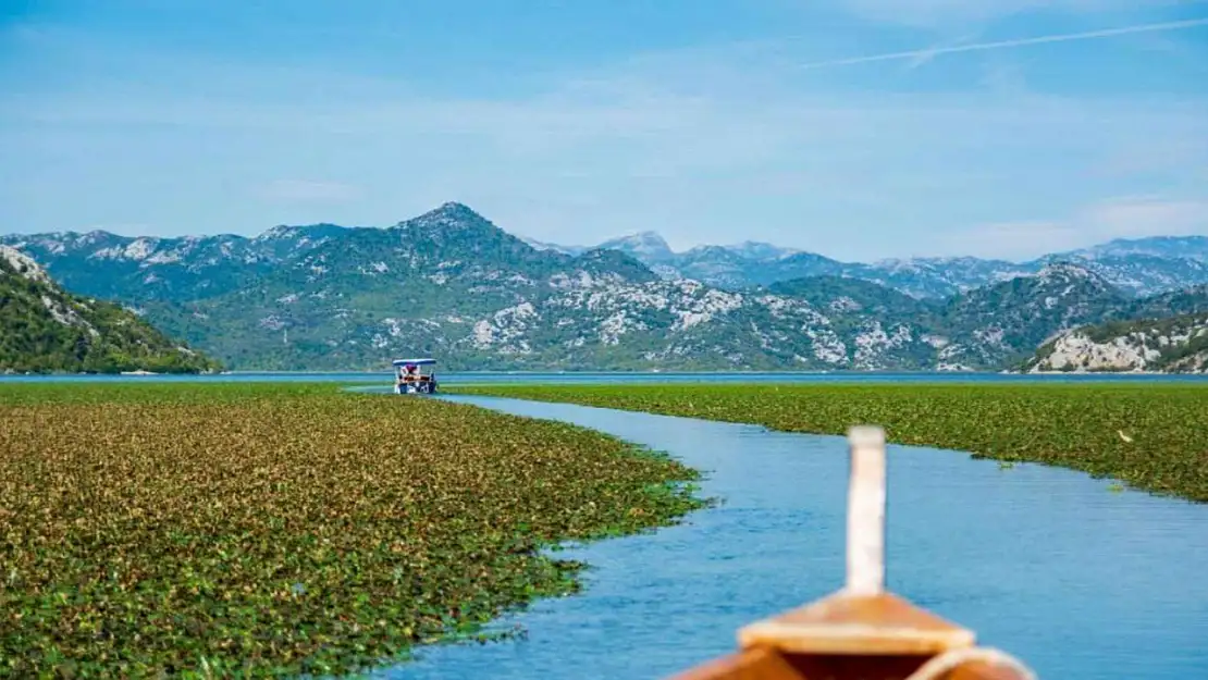 Balkanlar'ın Kalbinde Bir Mavi İncisi: Shkodra Gölü