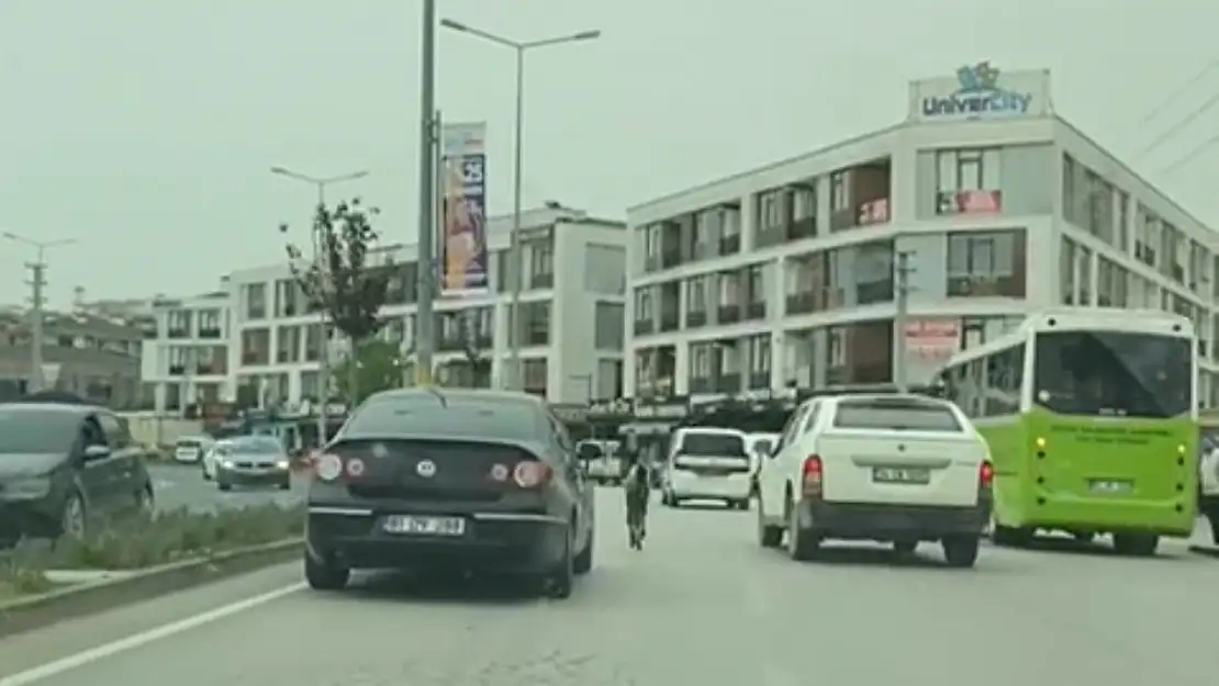 Başıboş tay trafiği birbirine kattı