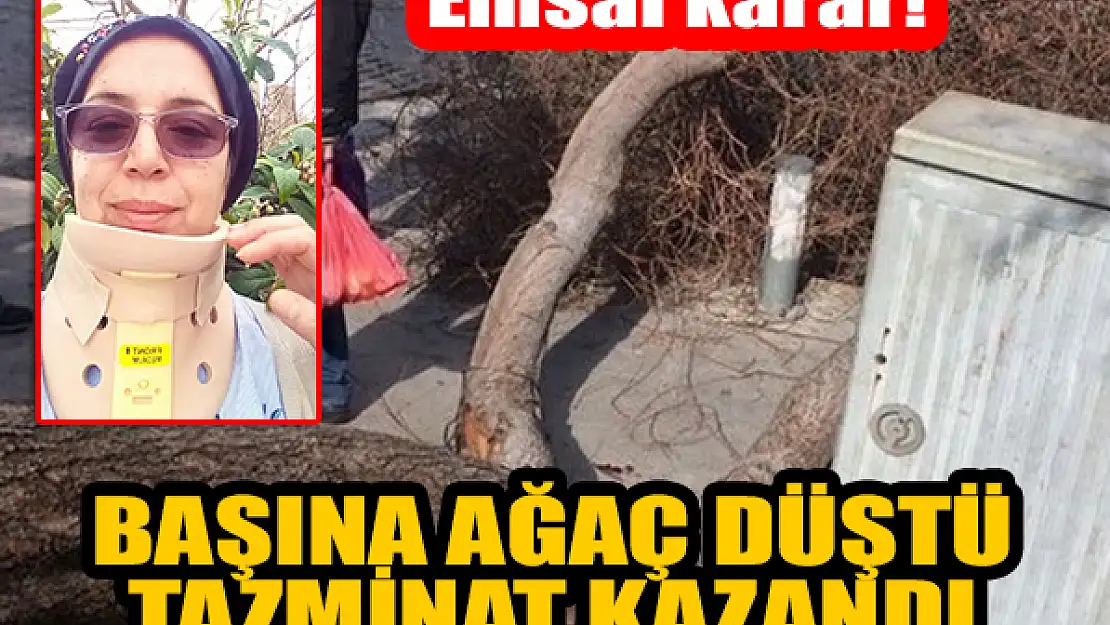 Başına ağaç düştü, tazminat kazandı