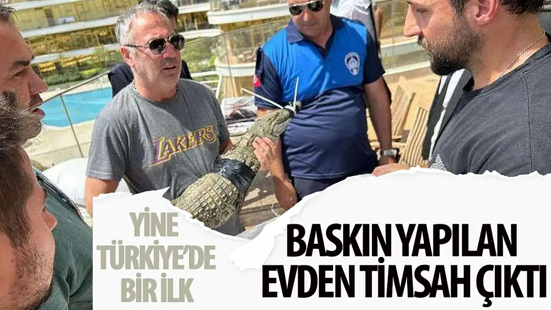 Baskın yaptıkları evde timsah bulan polisler dehşete düştü