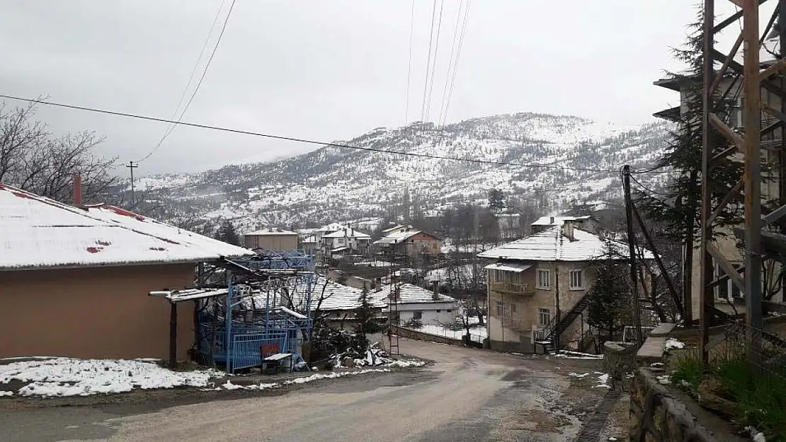 Beyaz bereket Karaman'ın yüksek kesimlerinde