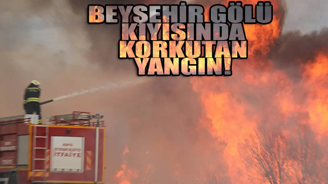 Beyşehir Gölü kıyısında korkutan yangın!