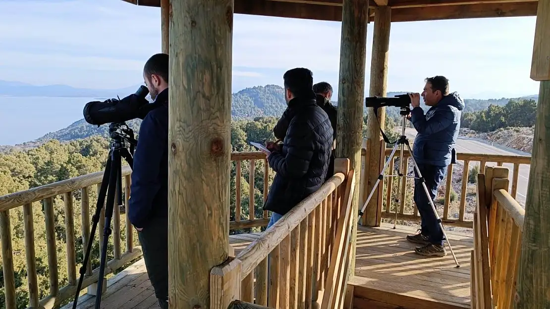 Beyşehir Gölü'nde kış ortası kuş su sayımı tamamlandı