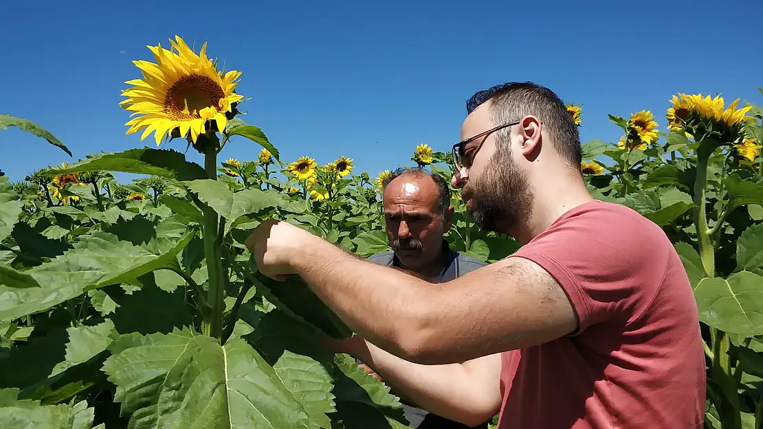 Beyşehir'de ekili alanlarda hastalık ve zararlı kontrolleri sürüyor