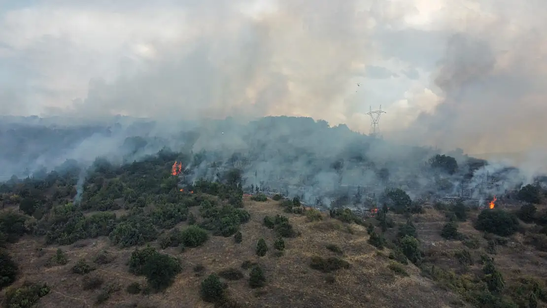 Bilecik'te orman yangını çıktı