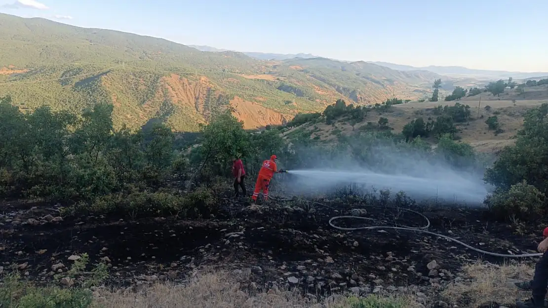 Bingöl'deki orman yangını söndürüldü