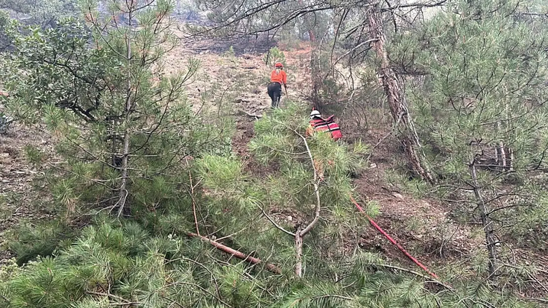 Bolu'daki yangına gönüllü destek!