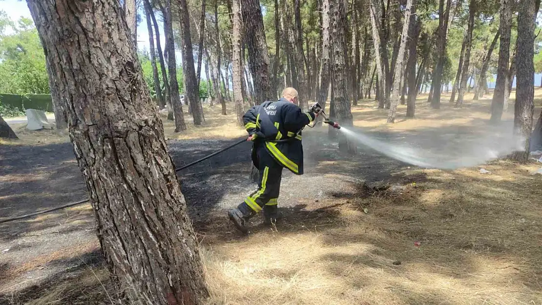 Çamlıkta çıkan yangın büyümeden söndürüldü