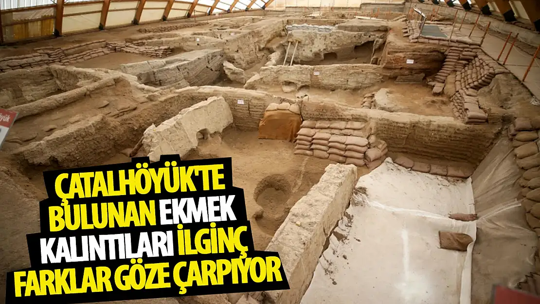 Çatalhöyük'te bulunan ekmek kalıntılarında  ilginç farklar göze çarpıyor!