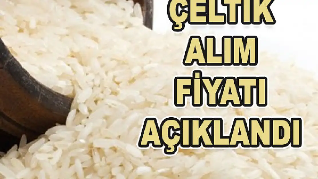 Çeltik alım fiyatı açıklandı