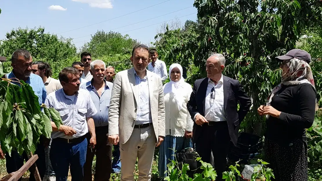 CHP, Hadim'de kiraz üreticilerinin feryadını paylaştı