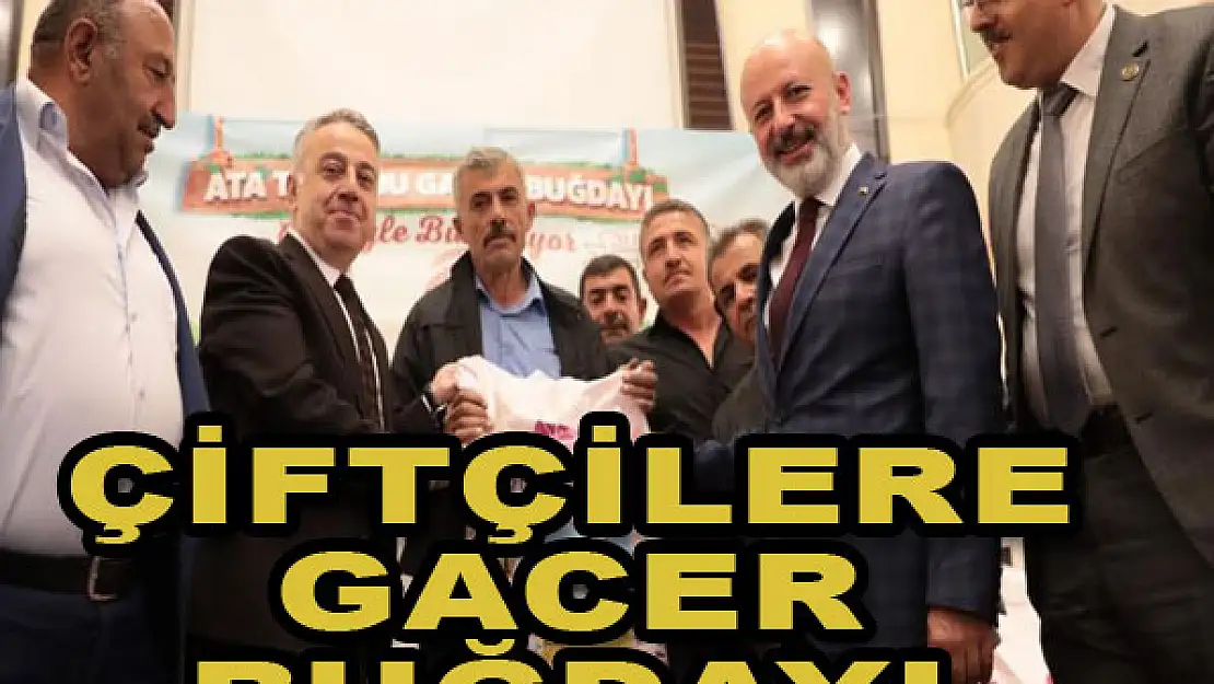 Çiftçilere gacer buğdayı dağıtıldı