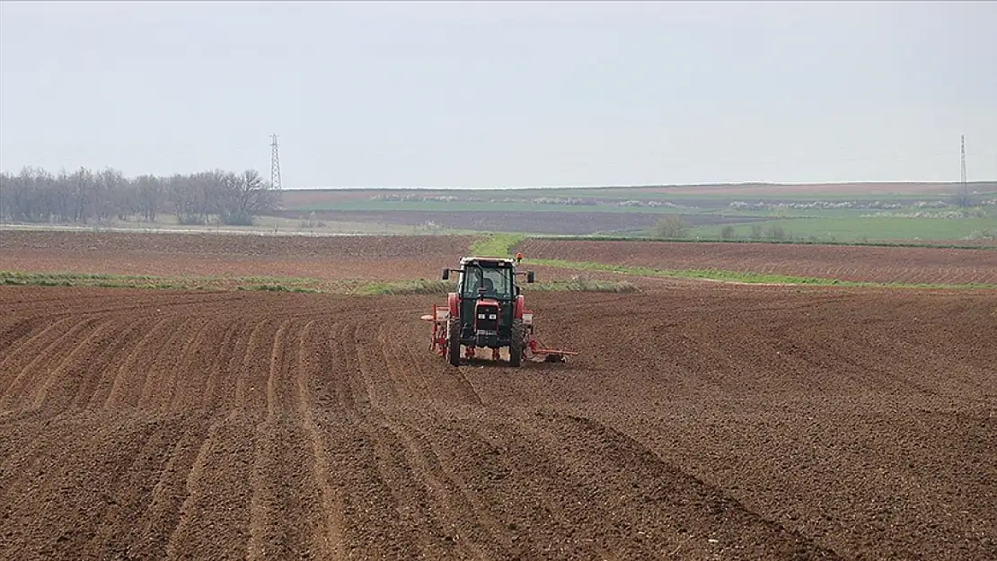 Çiftçilerin ayçiçeği mesaisi başladı