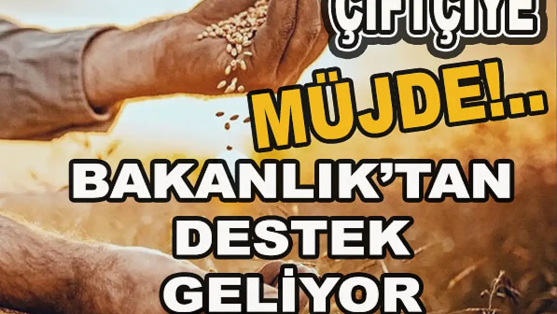 Çiftçiye müjde, Bakanlık'tan destek geliyor...