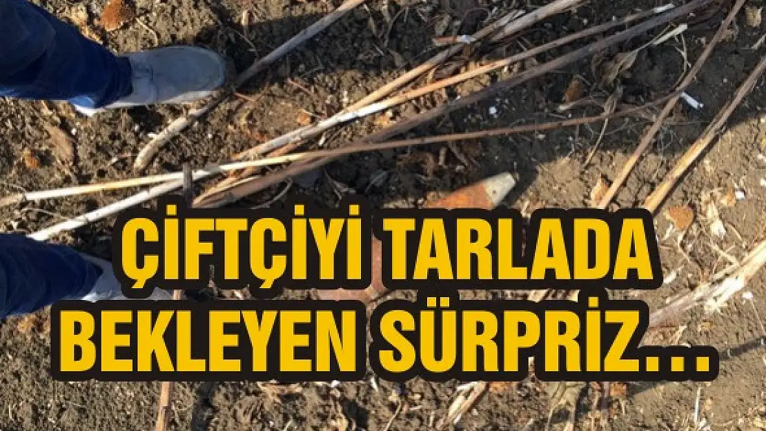 Çiftçiyi tarlada bekleyen sürpriz…