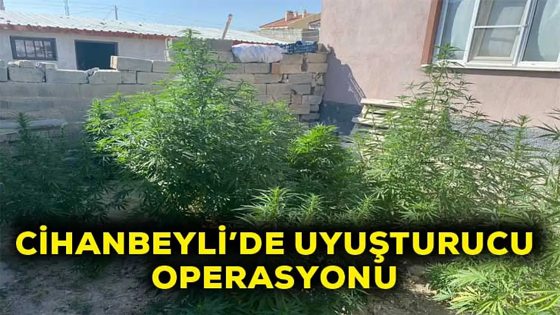 Cihanbeyli'de uyuşturucu operasyonu!