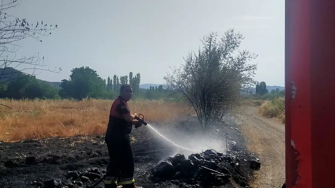 Çıkan yangınında ağaçların büyük bir kısmı zarar gördü