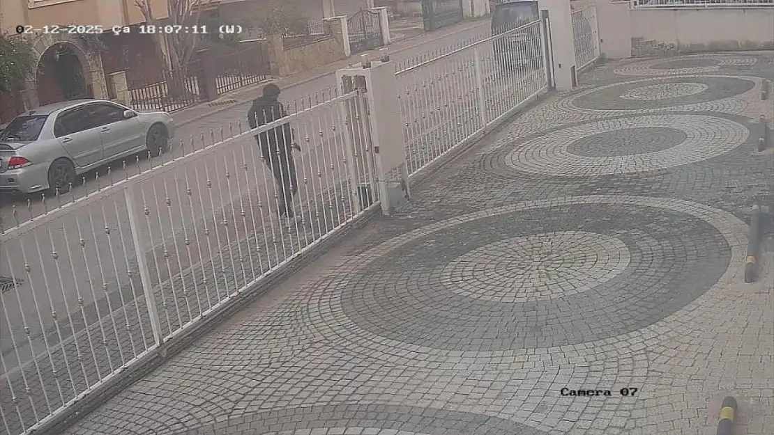 Cins kedisi kaybolan kadın, güvenlik kamera kayıtlarını izleyince şoke oldu