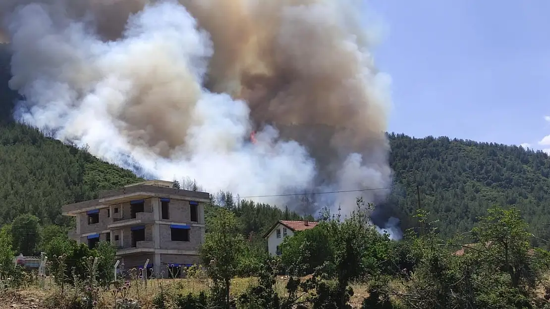 Denizli'de orman yangını!