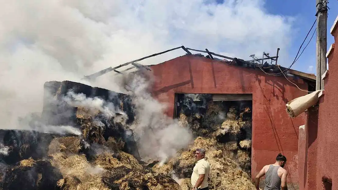 Depoda yangın: Bin adet saman balyası kül oldu