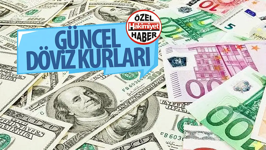 Dolar/TL bugün ne kadar? Güncel 20 Ağustos 2024 dolar-Euro fiyatları