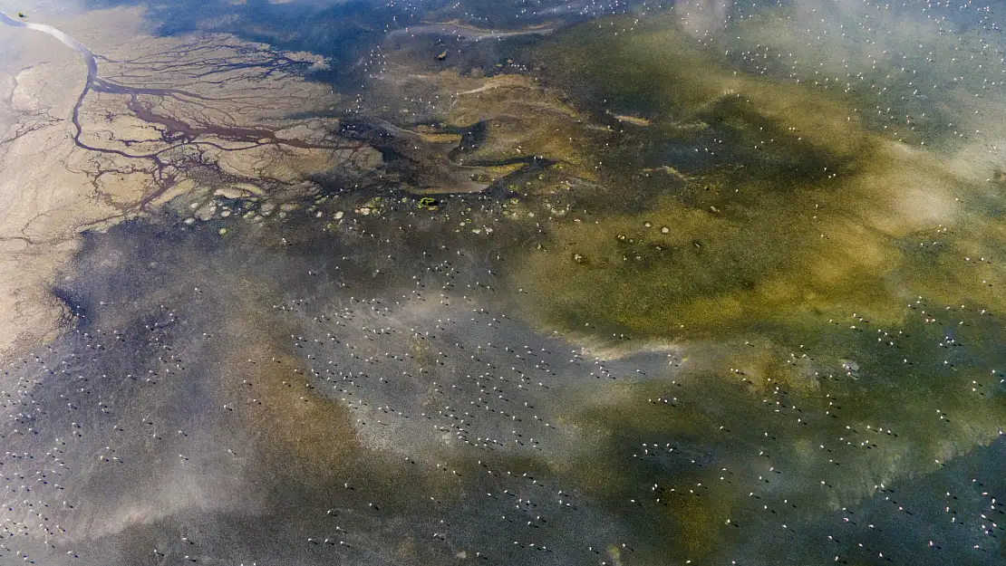 Düden Gölü'nde su seviyesi düşüyor, flamingoların sığınağı tehlikede