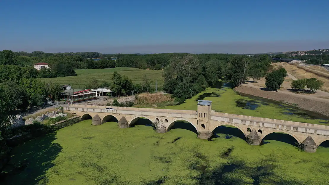 Edirne'de Tunca Nehri'nde Yosun ve Su Mercimeği Yayılımı Hızla Artıyor