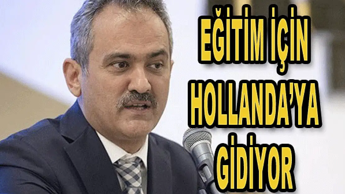 Eğitim için Hollanda'ya gidiyor