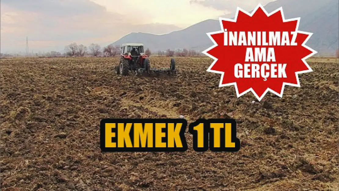 Ekmek 1 TL